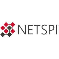 NETSPI Customer Advisory Board