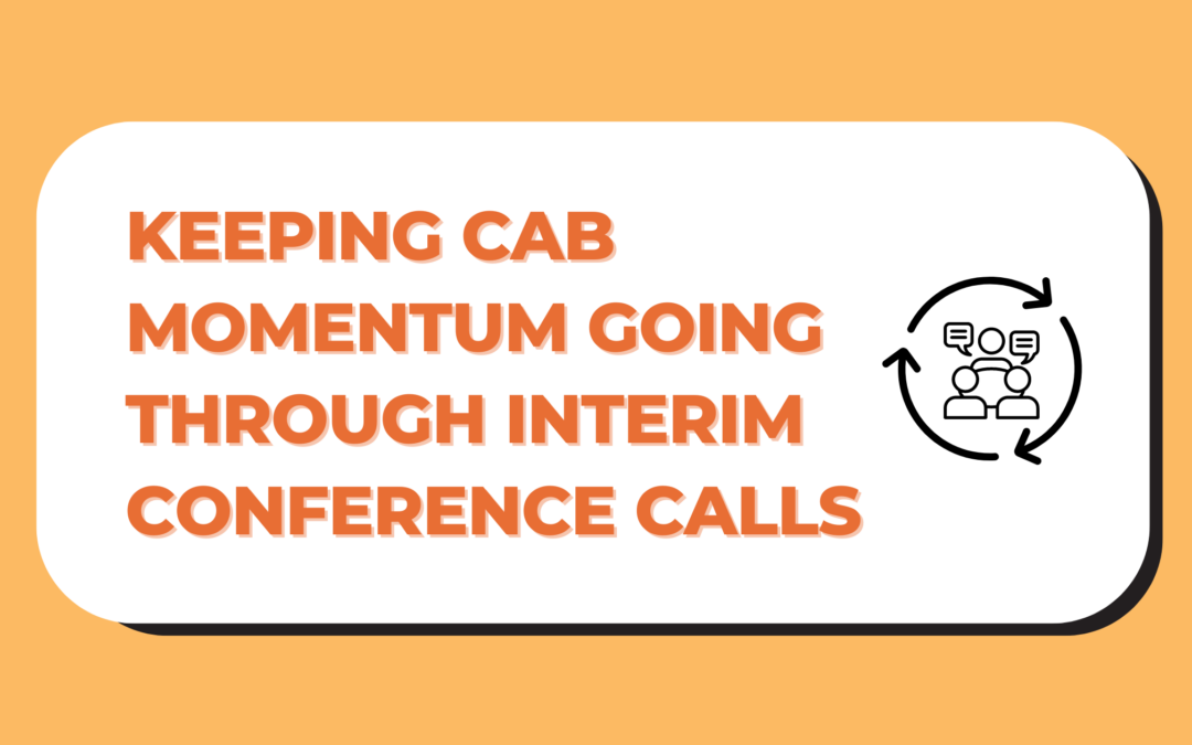 Keeping Customer Advisory Board Momentum Going Through Interim Conference Calls